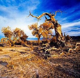 《Fading Skies》开启众筹 致敬王国之心开放世界冒险