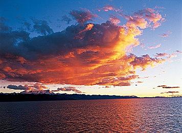 《尼克儿童频道全明星大乱斗》海绵宝宝出招演示 今年秋季正式上线